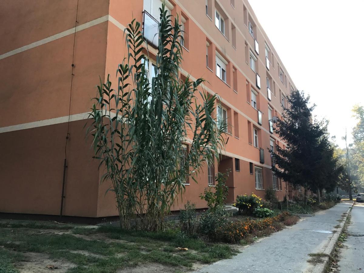 شقة La Bella Maria Apartman 2. Kaposvár المظهر الخارجي الصورة